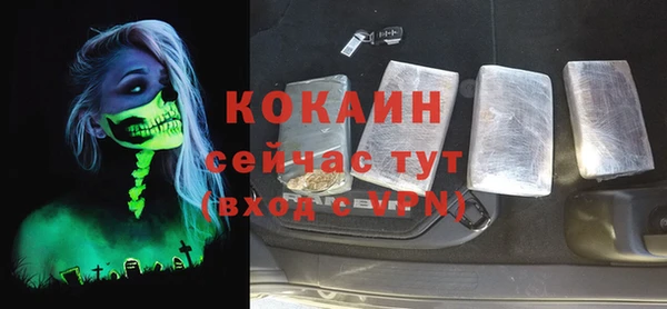 крисы Козловка