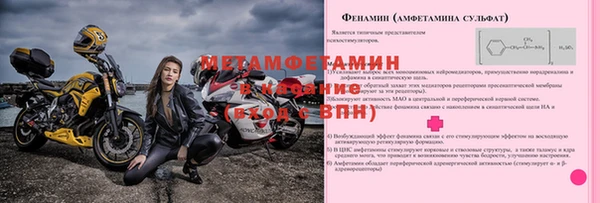 крисы Козловка