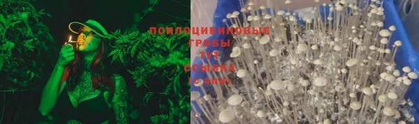 крисы Козловка
