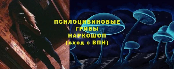 крисы Козловка