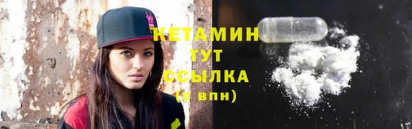 шишки Кодинск