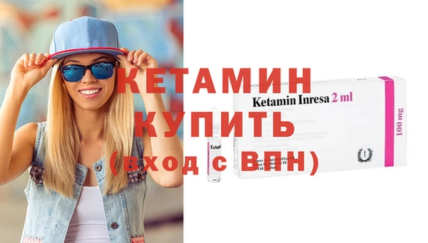 шишки Кодинск