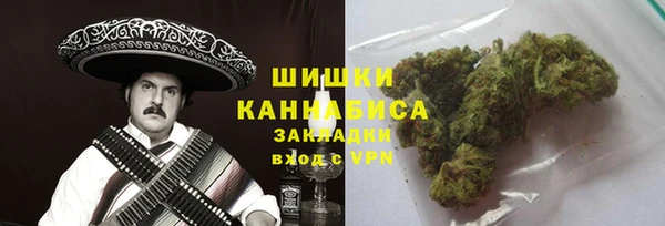 крисы Козловка