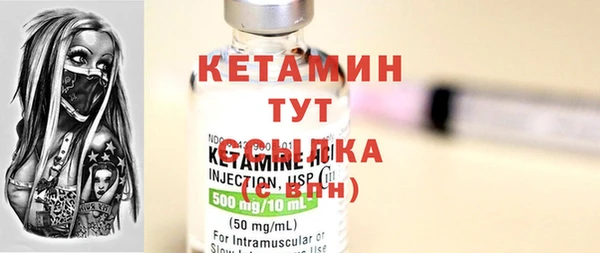 шишки Кодинск