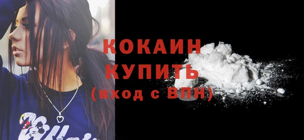 шишки Кодинск