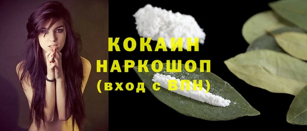 шишки Кодинск