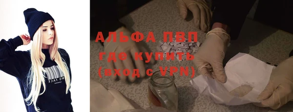 шишки Кодинск