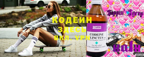 шишки Кодинск
