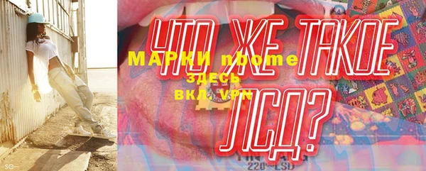 шишки Кодинск
