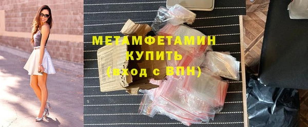 шишки Кодинск