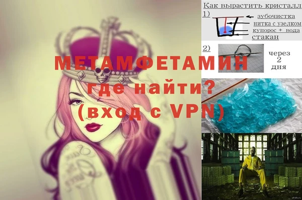 крисы Козловка