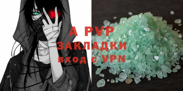 шишки Кодинск