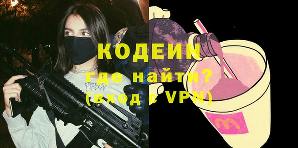 шишки Кодинск